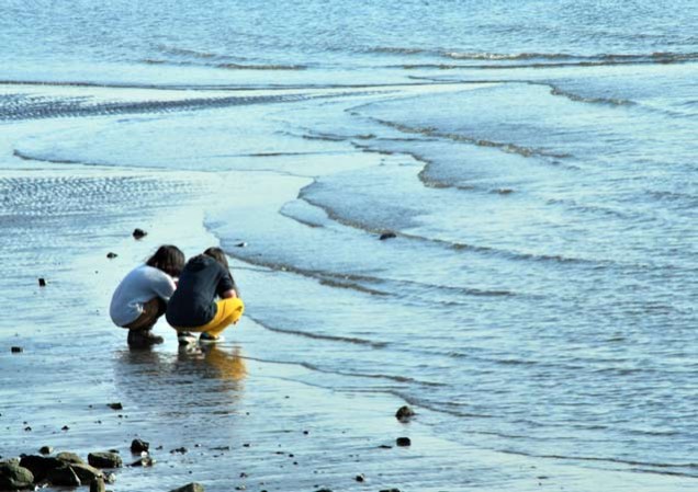 澤畠　早春の磯遊び